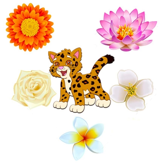 FLOWER LEOPARD TURN LOCK CROSSBODY WALLET HOST PICK - Picture 7 of 9